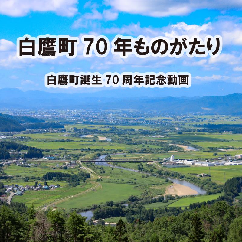 白鷹紹介動画