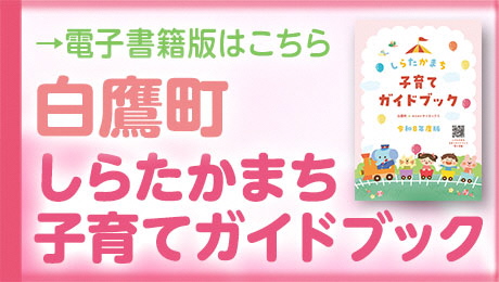 guidebook